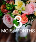 abonnement de fleurs 3 mois