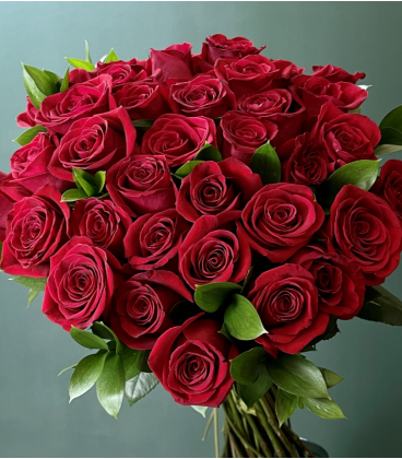 Roses rouges & Bouquet de roses rouges 12