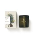 Organic Soy Candle formulated with pure essential oils of Pine