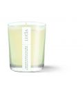 Organic Soy Candle formulated with pure essential oils tea leaf and honey flower