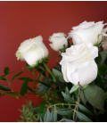 12 white roses