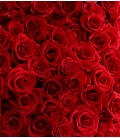 30 roses rouges