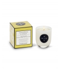 BOUGIE CITRONNELLE & GINGEMBRE 140g