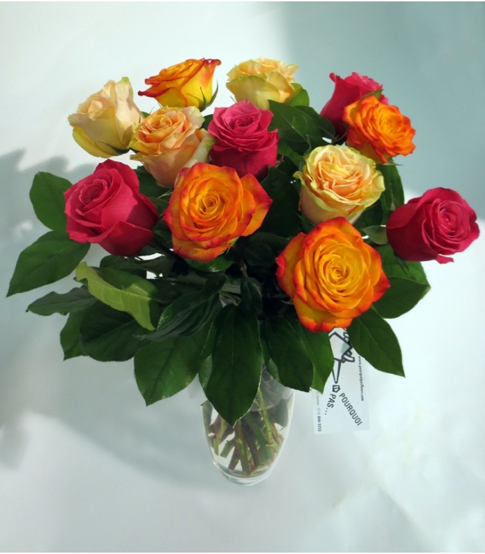 Colorful Roses And Bouquet Of Colorful Roses All Occasions