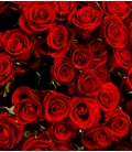 Bouquet Saint-Valentin 24 roses rouges longues