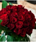 chic roses rouges