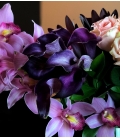bouquet orchids