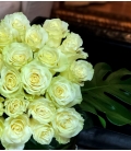 luxueux roses blanches
