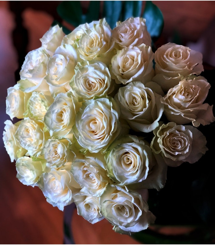 Bouquet de 50 roses blanches LUXE Montreal
