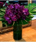 purple calla lilies