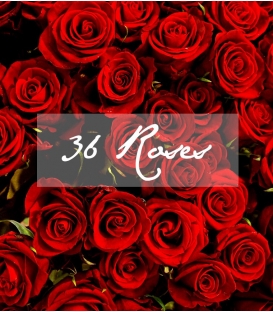 36 LONG RED ROSES BOUQUET VALENTINE