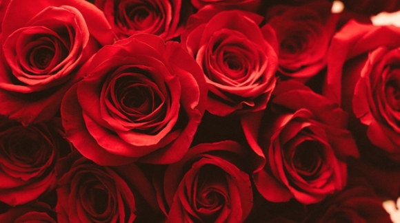 Bouquet of roses - Delivery 12, 18, 24, 30 roses | ROSES